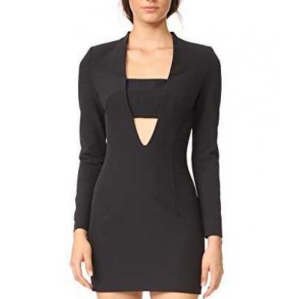 NWT AQ/AQ mini dress